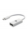 XTECH XTC-555 - ADAPTADOR USB TIPO C MACHO A DISPLAY PORT HEMBRA